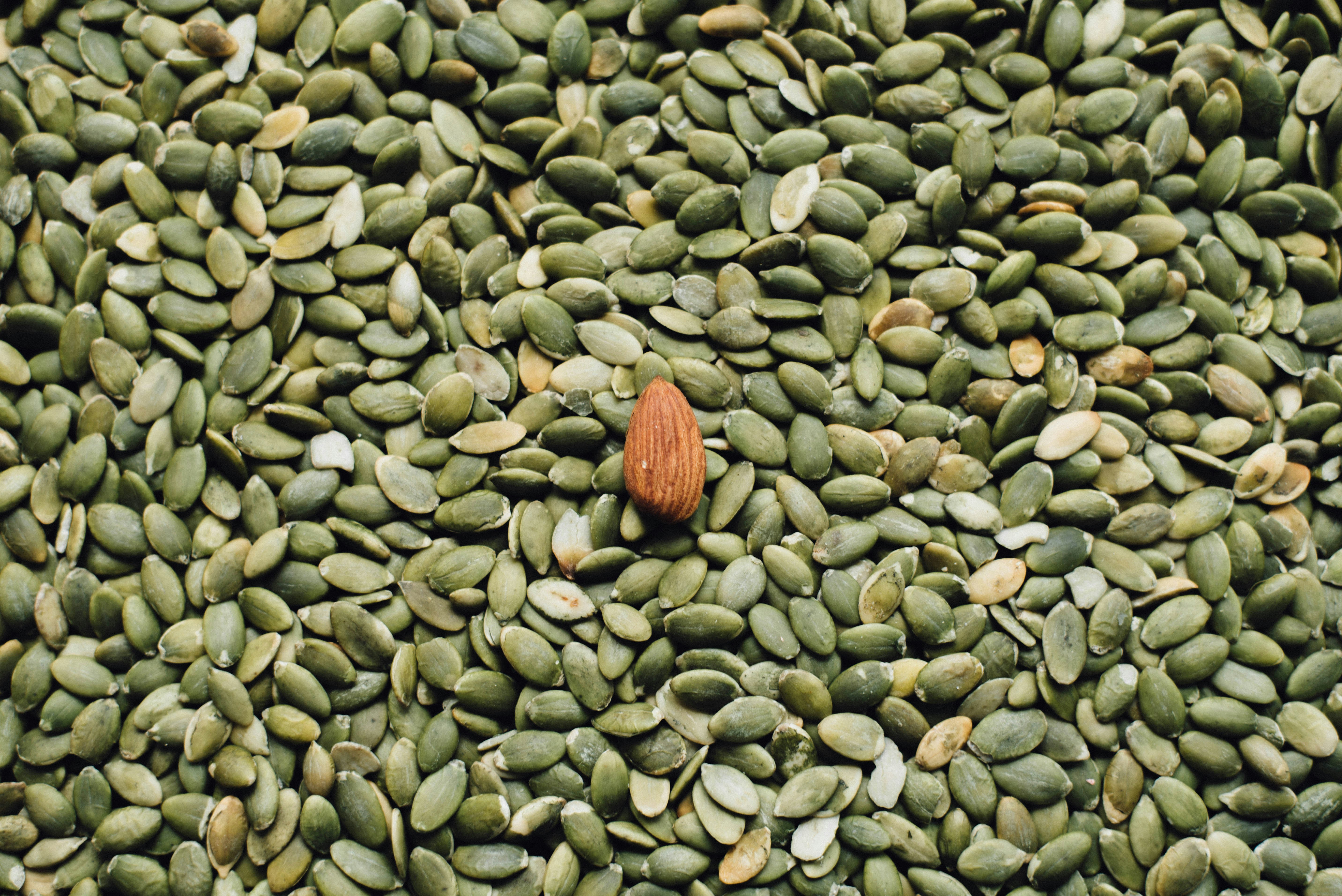 Pumpkin Seeds in natural/raw form